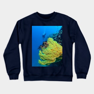 Scuba Diving in Bohol Island Philippines Crewneck Sweatshirt